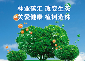 j9���ʼ���831999����չ������̼���������ı�Ҫ��